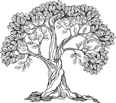 A drawing of a tree with leaves on it